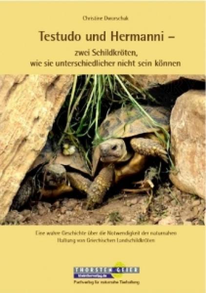 Testudo und Hermanni